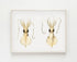 raw wood framed love heart squid wall art